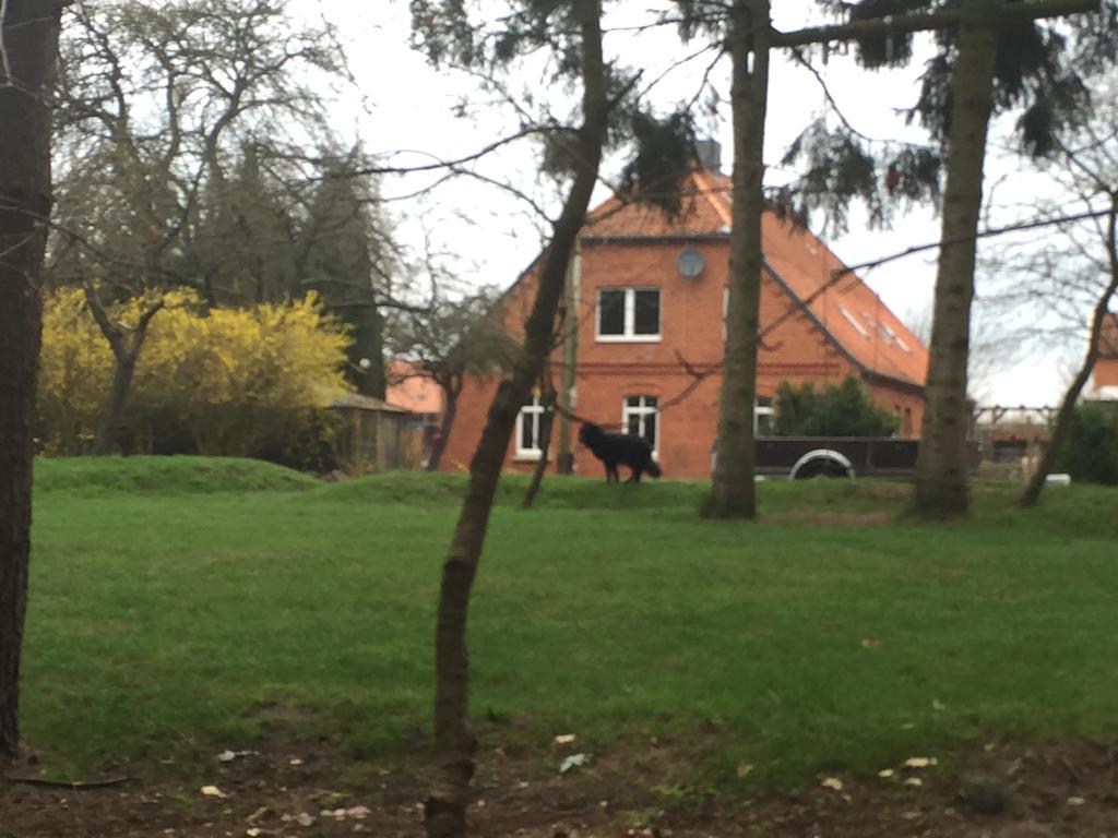 Ferienwohnung Garten Eben Rullstorf Exterior foto